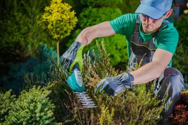 landscaping services Northridge